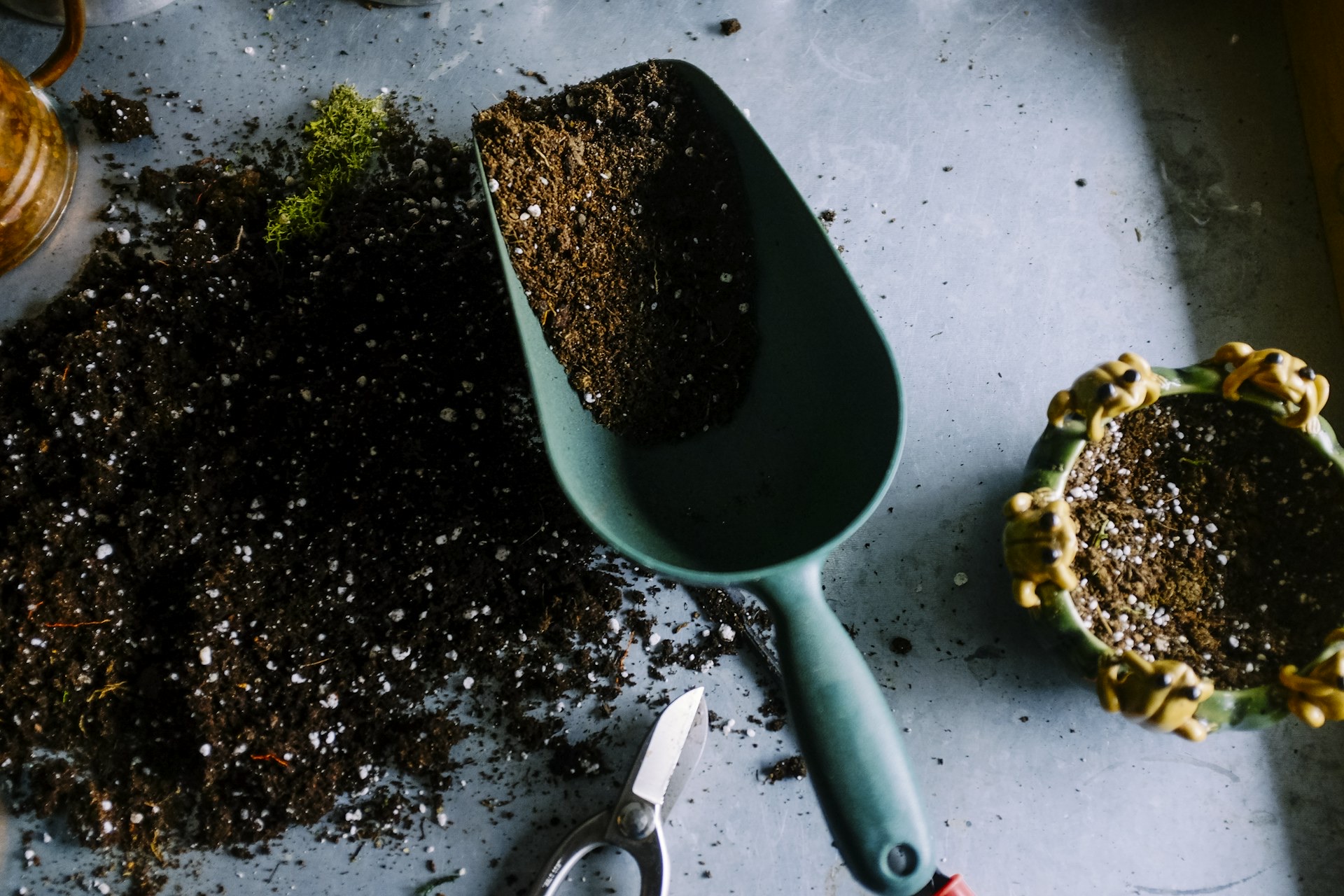 Future Roots — Shopify · D2C